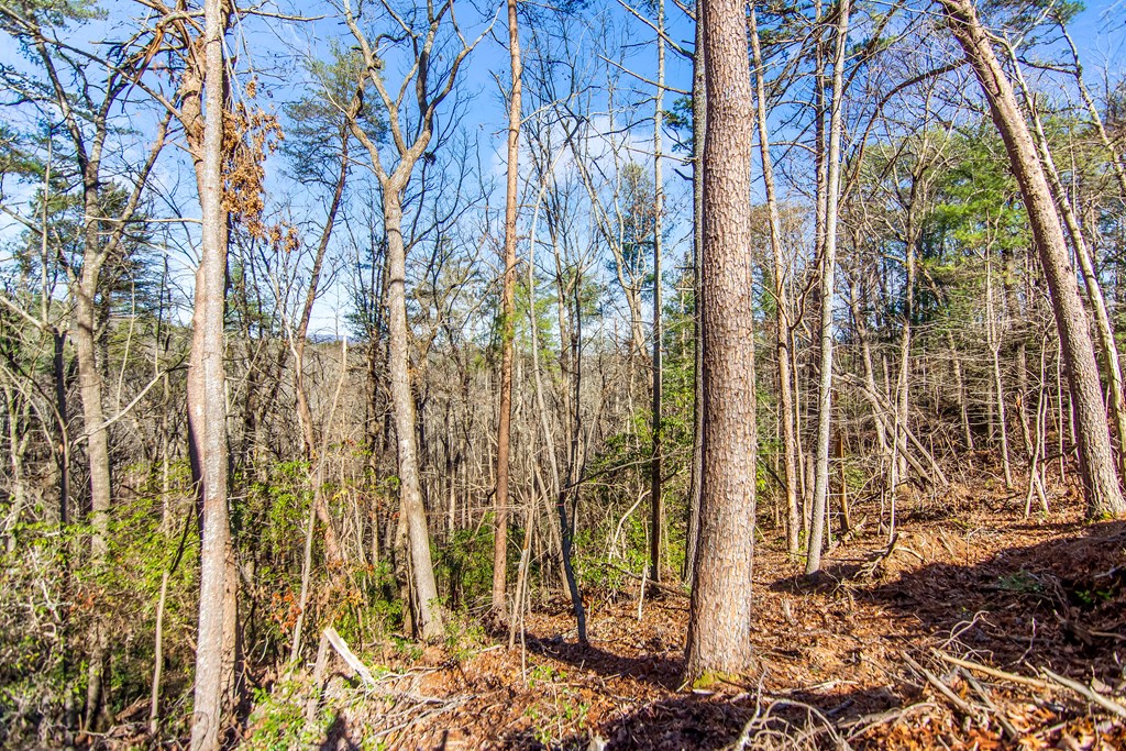 LT 10R Whispering Oaks Drive