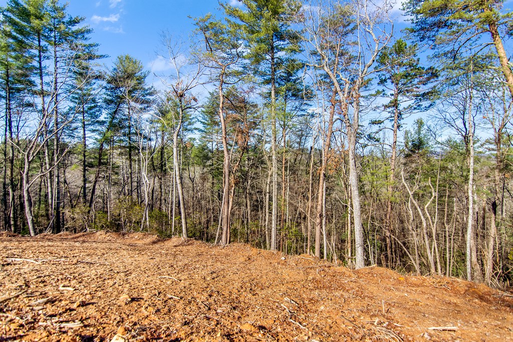 LT 10R Whispering Oaks Drive