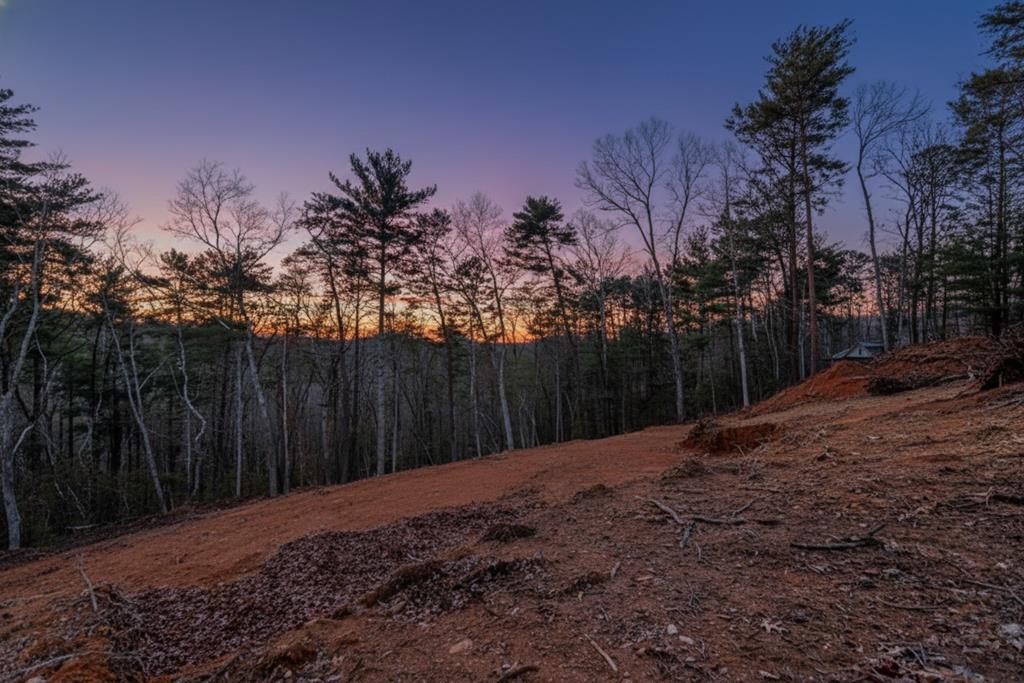 LT 10R Whispering Oaks Drive