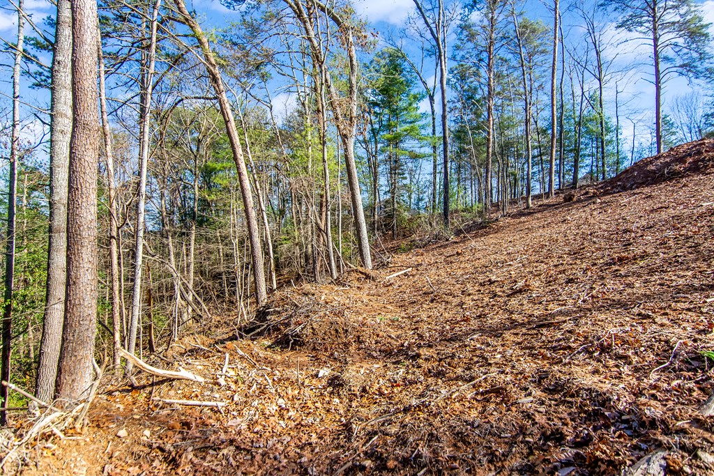 LT 10R Whispering Oaks Drive