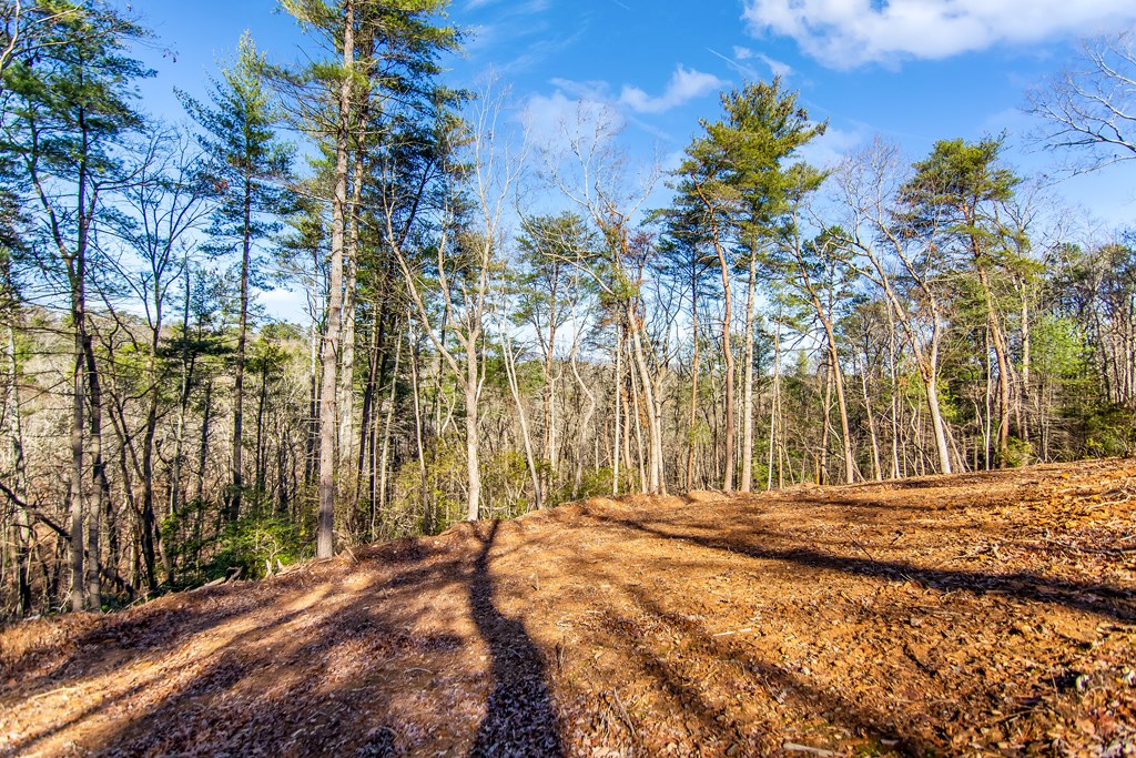 LT 10R Whispering Oaks Drive