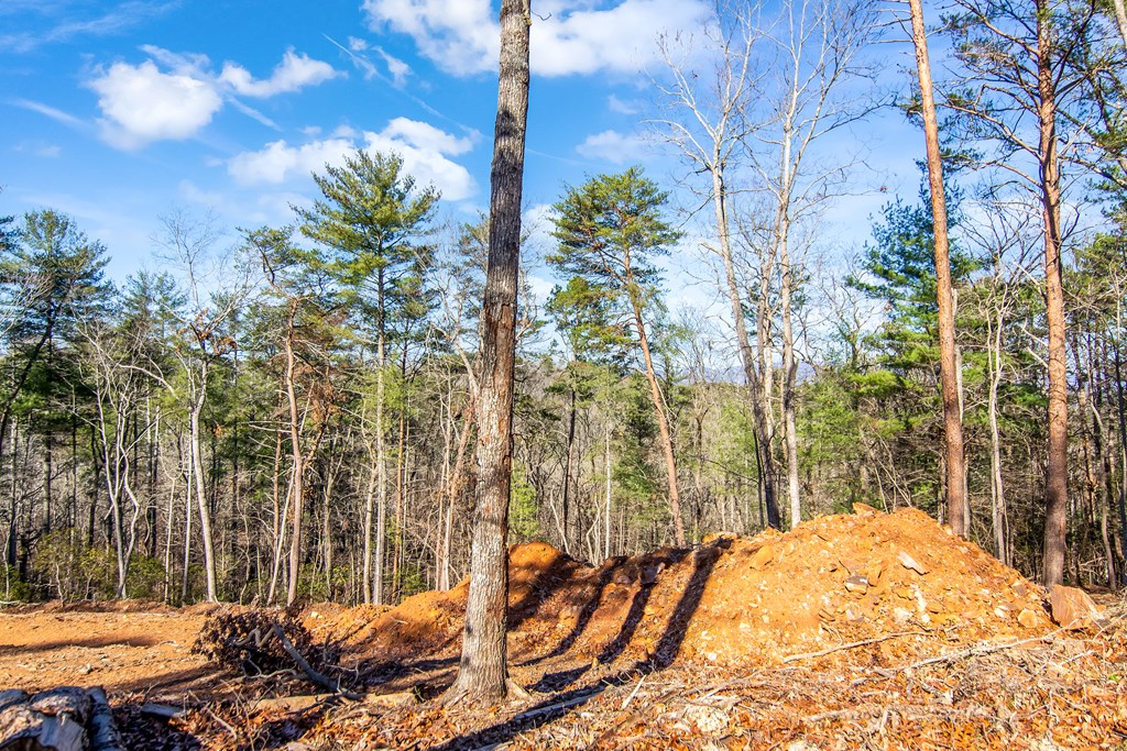 LT 10R Whispering Oaks Drive