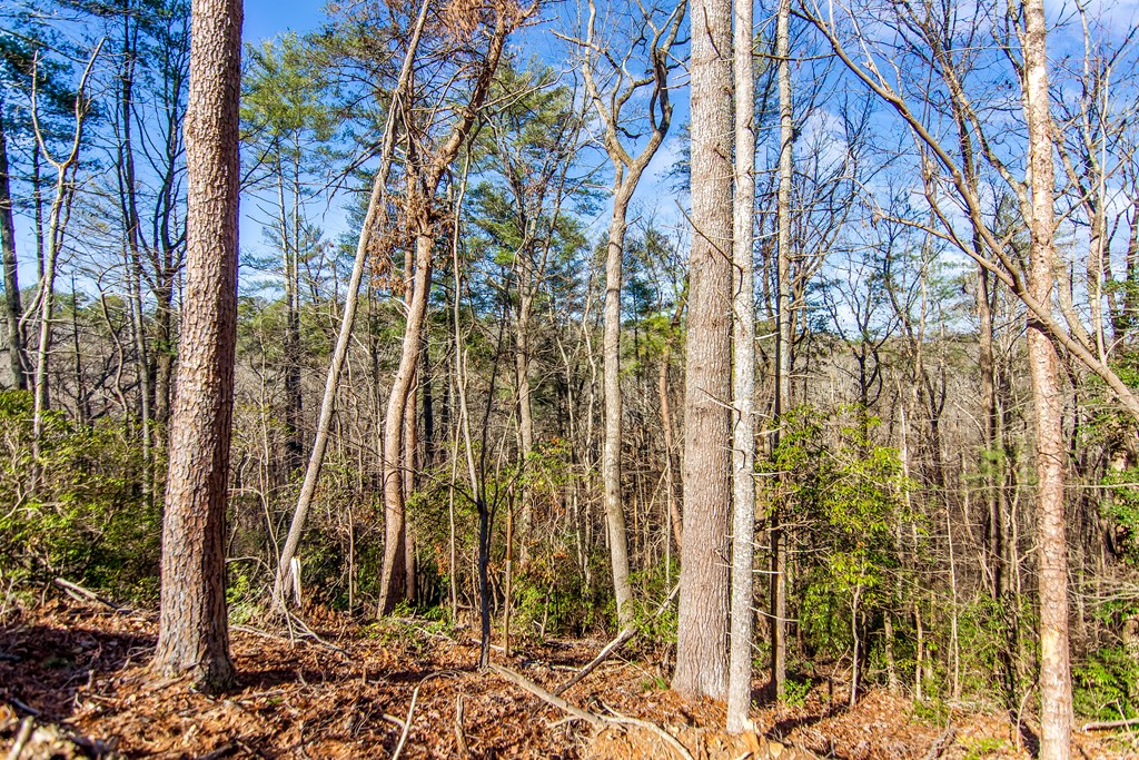 LT 10R Whispering Oaks Drive