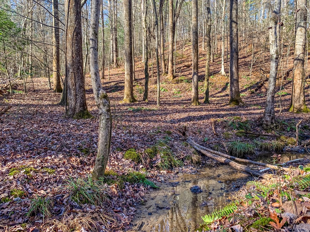 LT 10R Whispering Oaks Drive