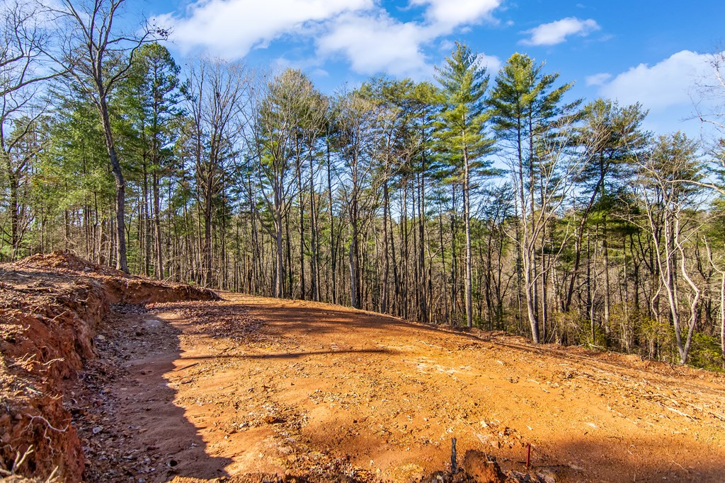 LT 10R Whispering Oaks Drive