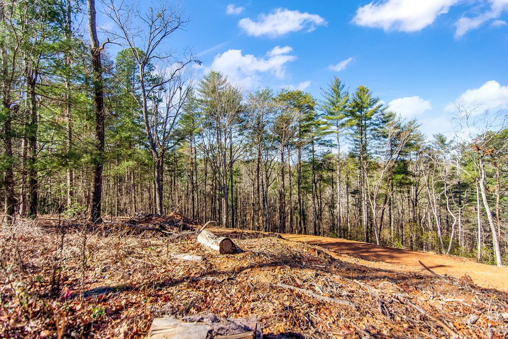 LT 10R Whispering Oaks Drive