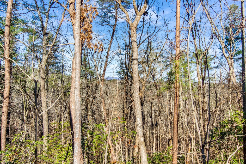 LT 10R Whispering Oaks Drive