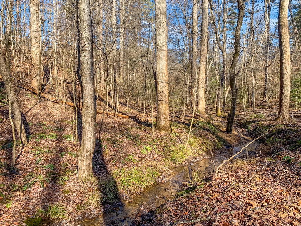 LT 10R Whispering Oaks Drive