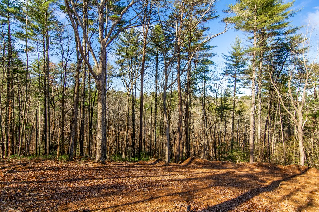 LT 10R Whispering Oaks Drive