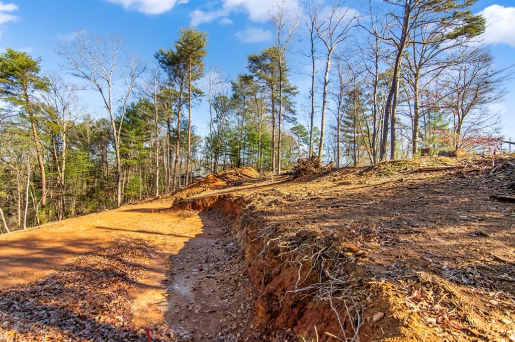 LT 11 Whispering Oaks Drive