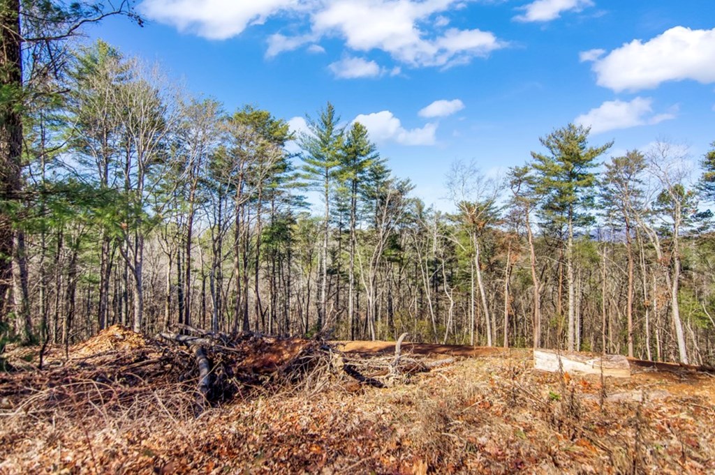 LT 11 Whispering Oaks Drive