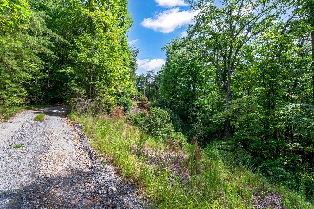 4.69 AC Rockwater Road