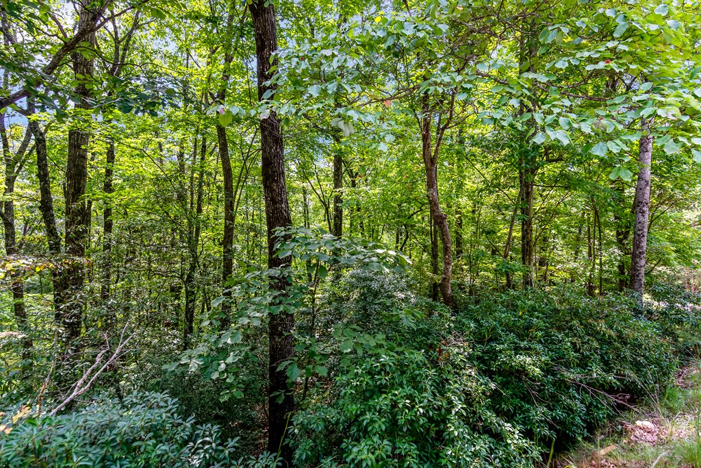 4.69 AC Rockwater Road