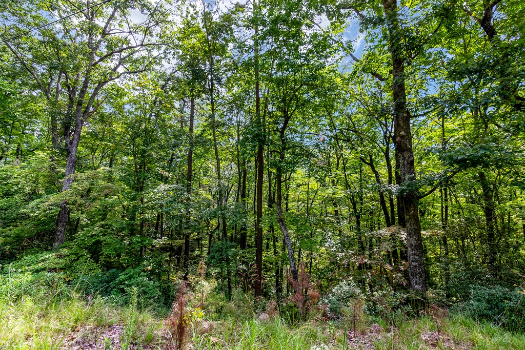 4.69 AC Rockwater Road