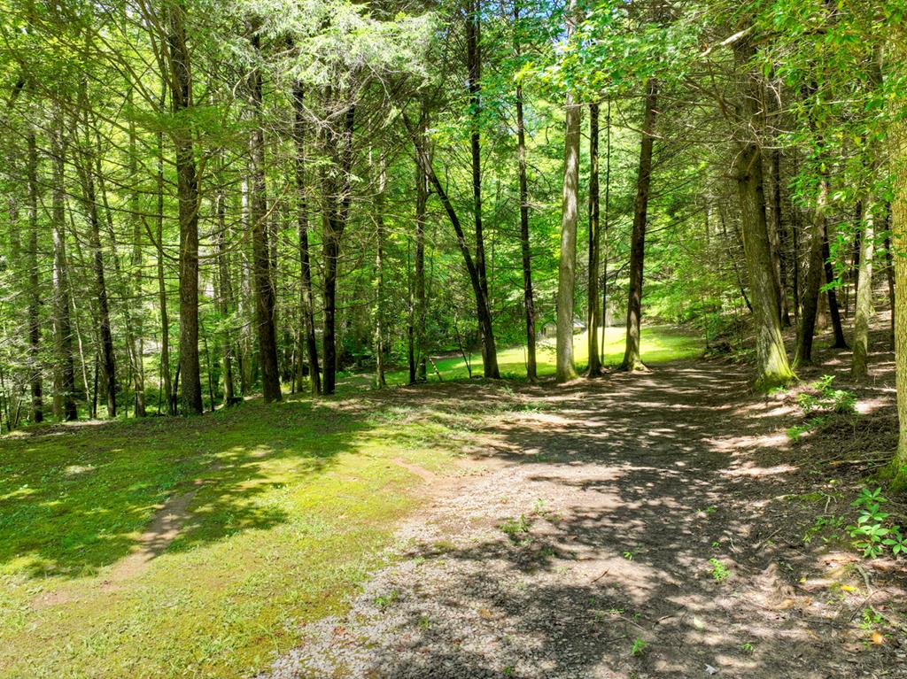 1048 Laurel Trail