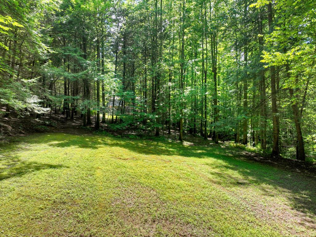 1048 Laurel Trail