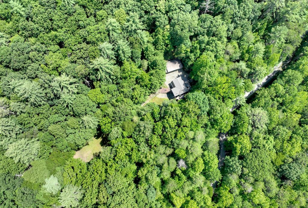 1048 Laurel Trail