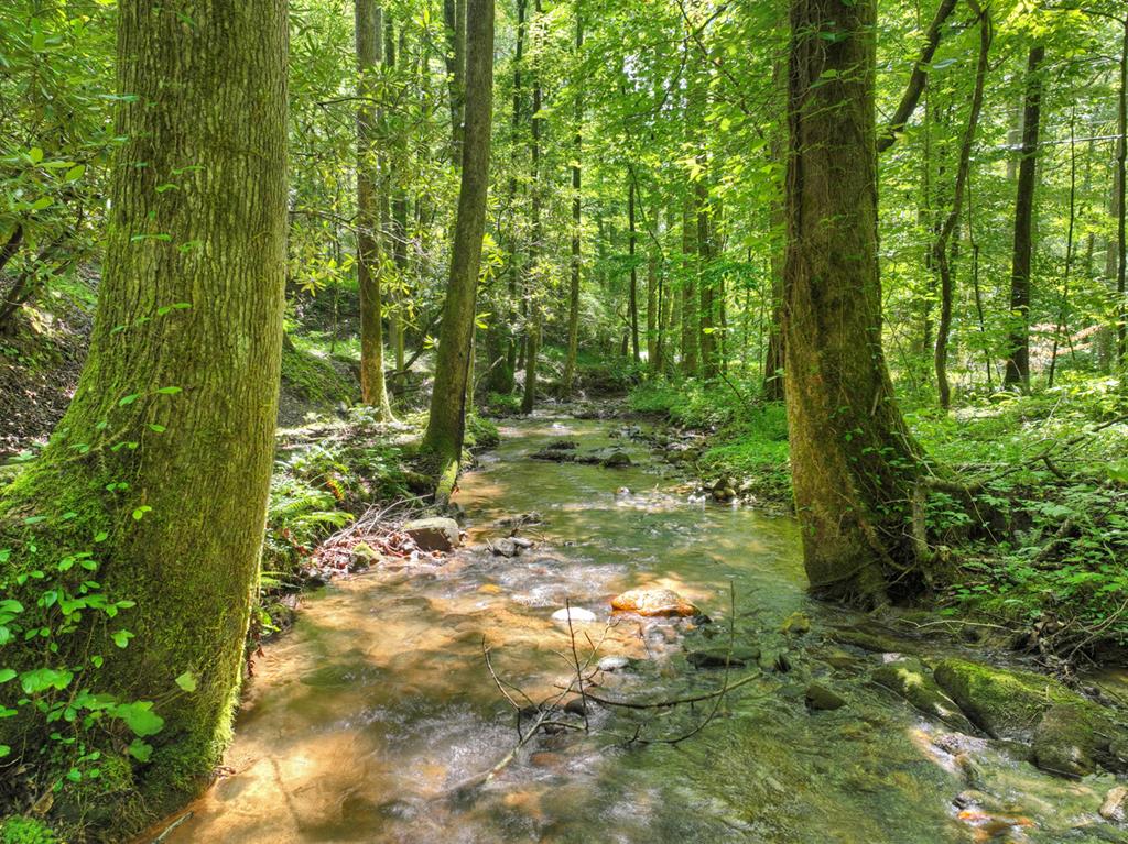 1048 Laurel Trail