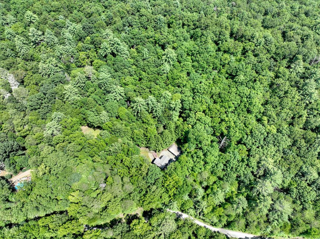 1048 Laurel Trail