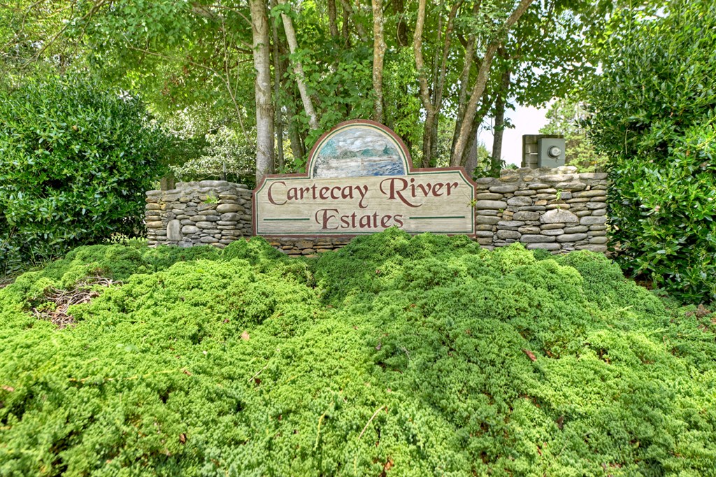Lot 10 Cartecay River Run