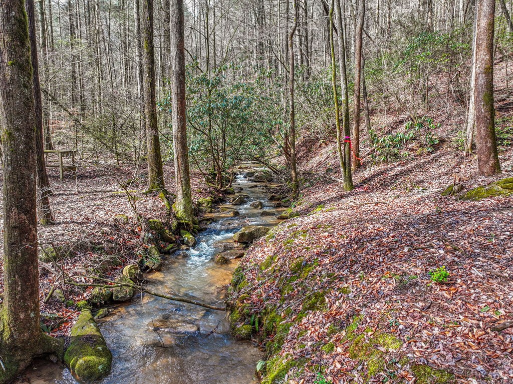 641 Bryant Farm Lane