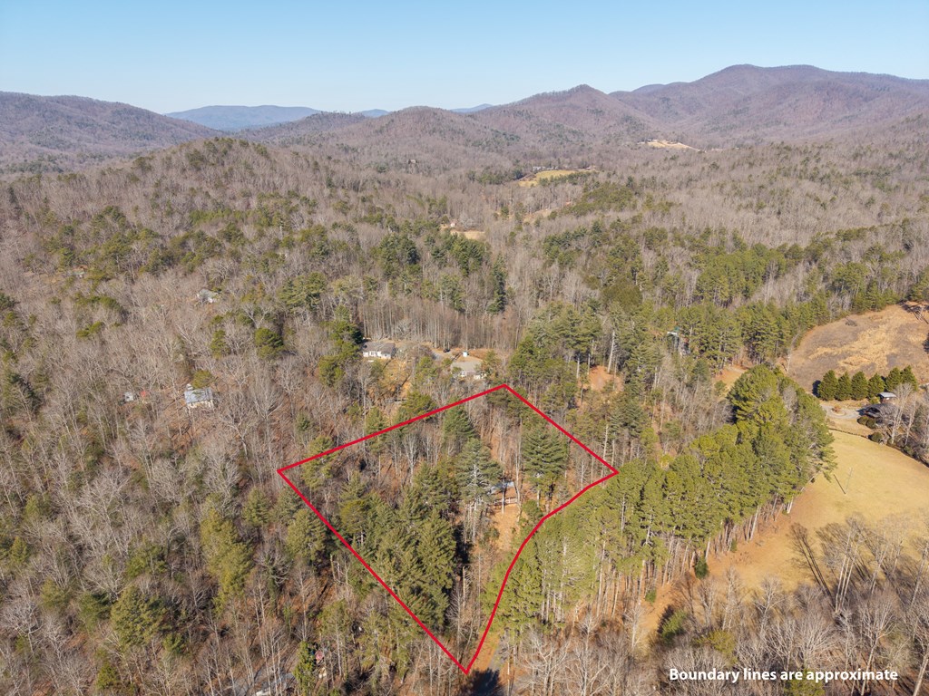 3185 Old Flat Branch Road