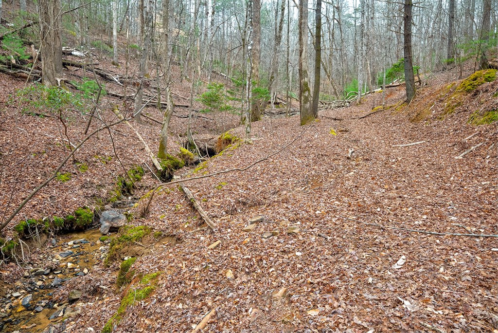 8 acres Brunton Circle