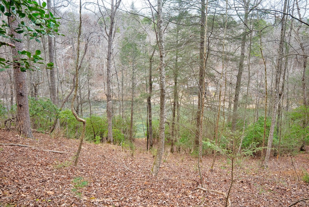 8 acres Brunton Circle