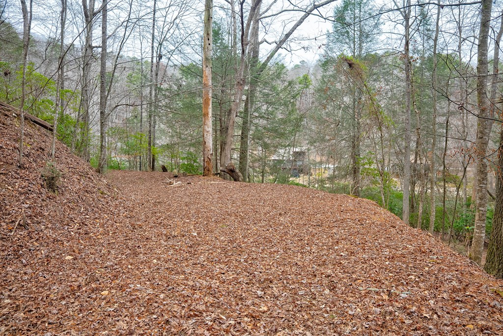 8 acres Brunton Circle