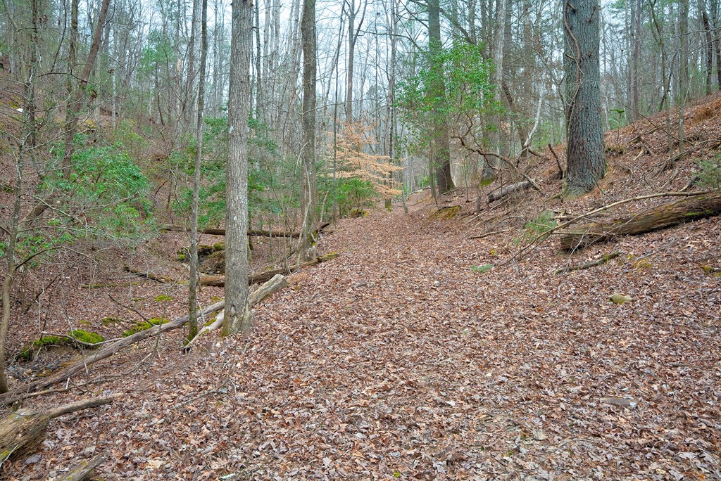 8 acres Brunton Circle