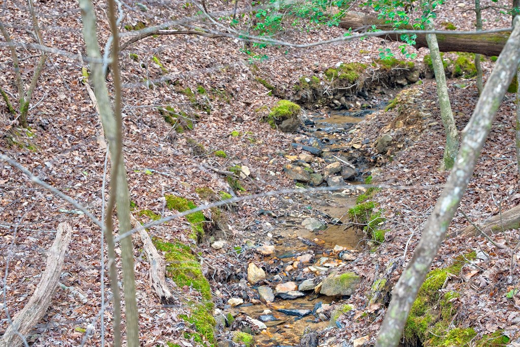 8 acres Brunton Circle