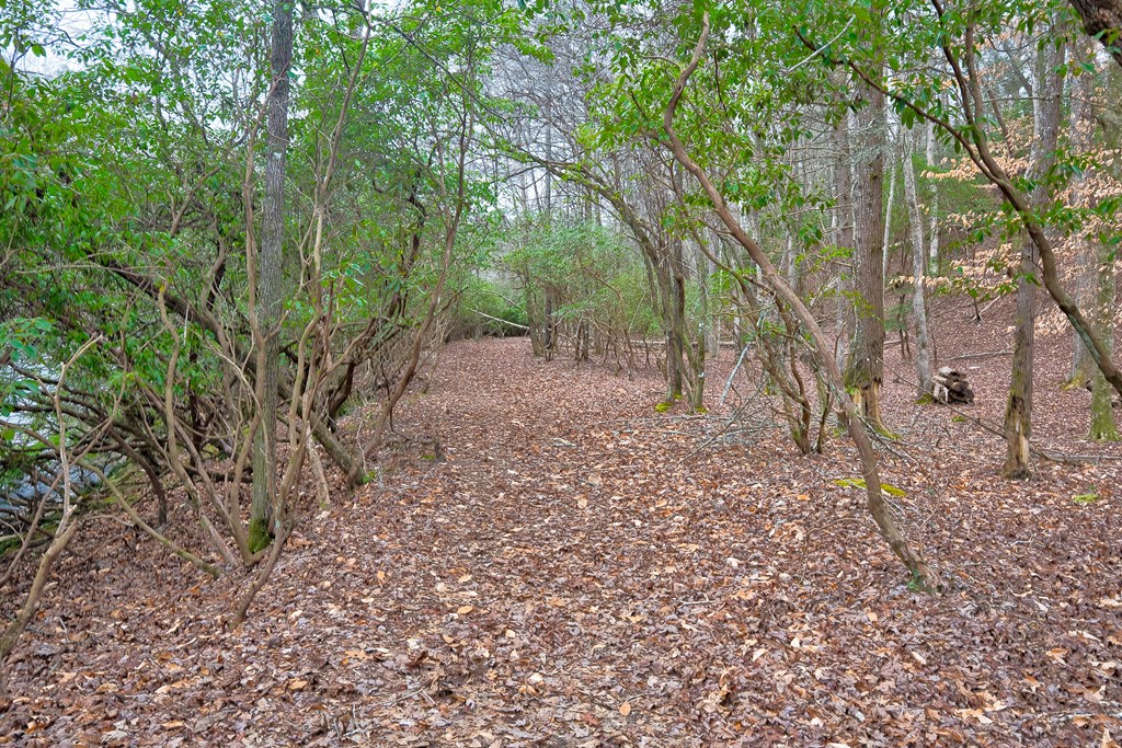 8 acres Brunton Circle