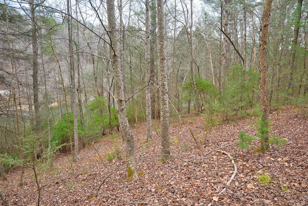 8 acres Brunton Circle