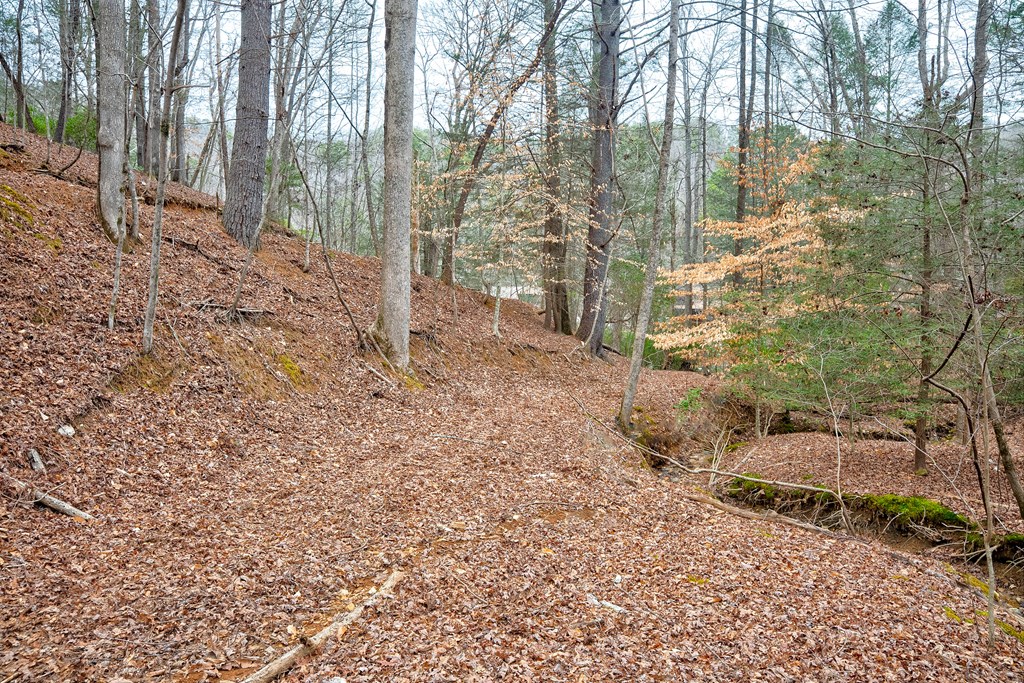 8 acres Brunton Circle