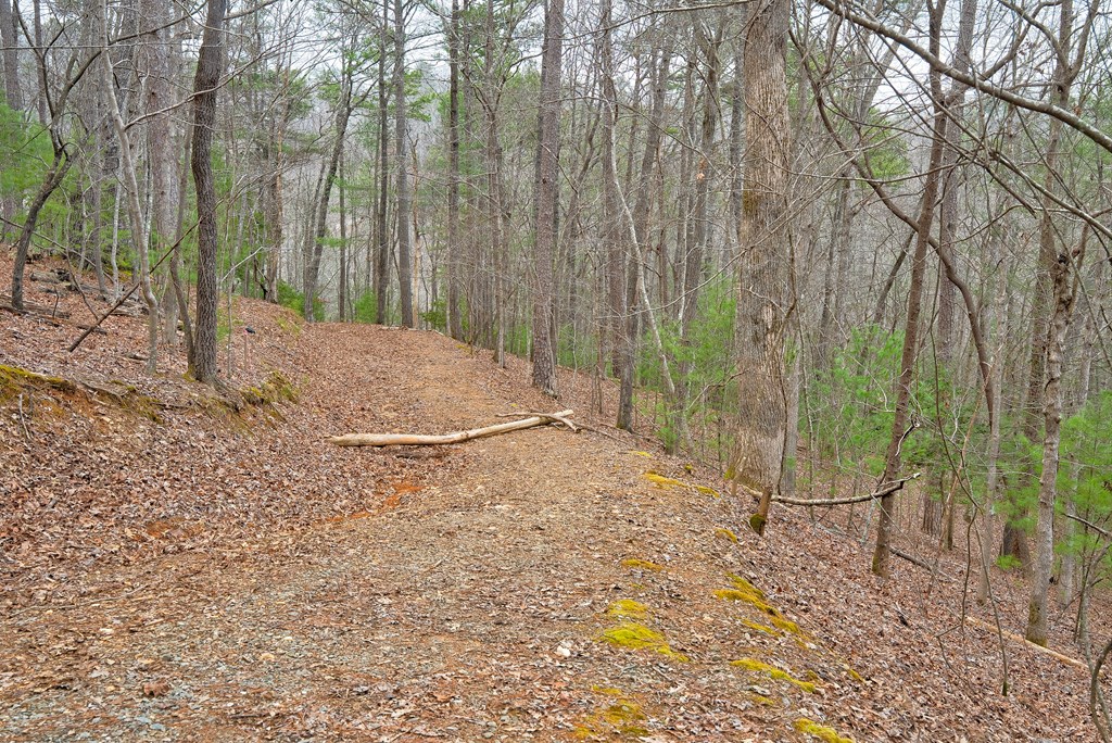 8 acres Brunton Circle