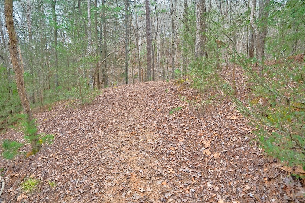 8 acres Brunton Circle