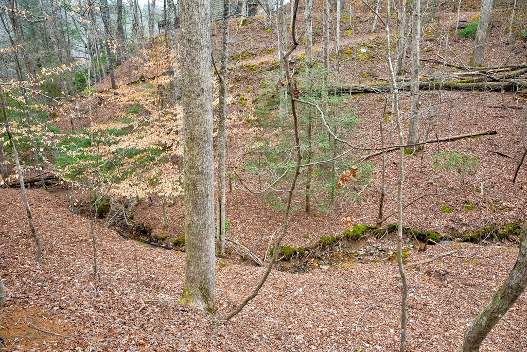 8 acres Brunton Circle