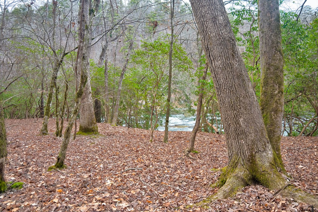 8 acres Brunton Circle