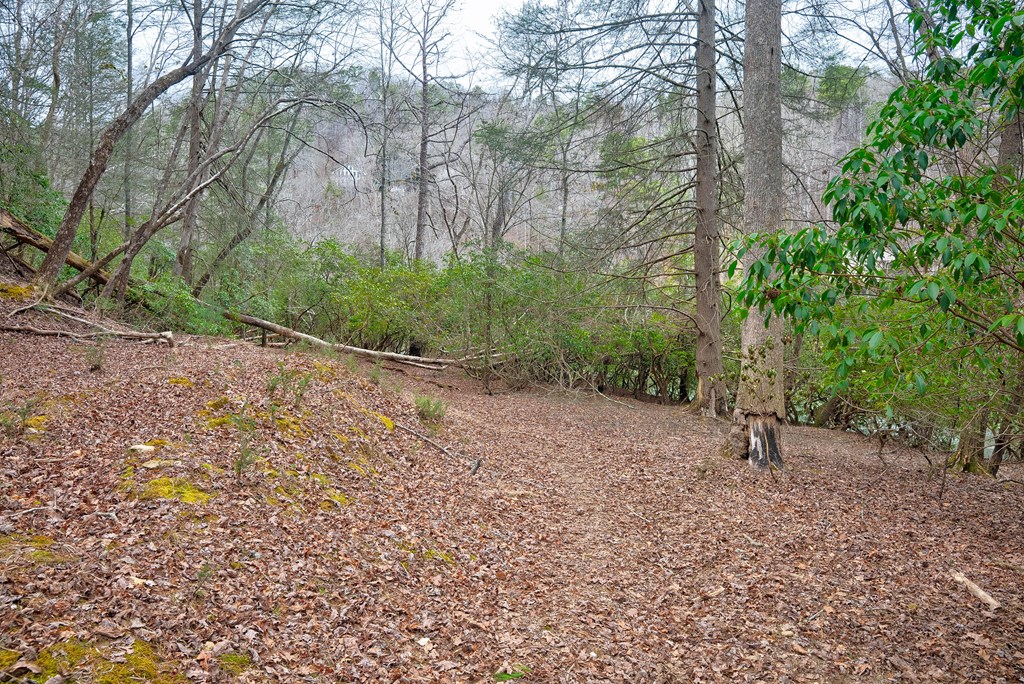 8 acres Brunton Circle