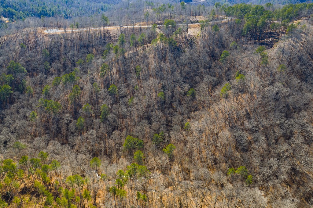 Lot 285 Anglers Ridge Road