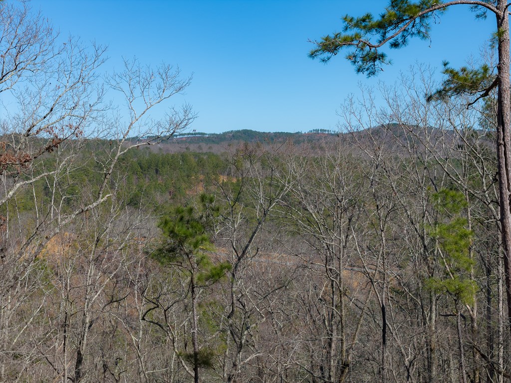 Lot 285 Anglers Ridge Road