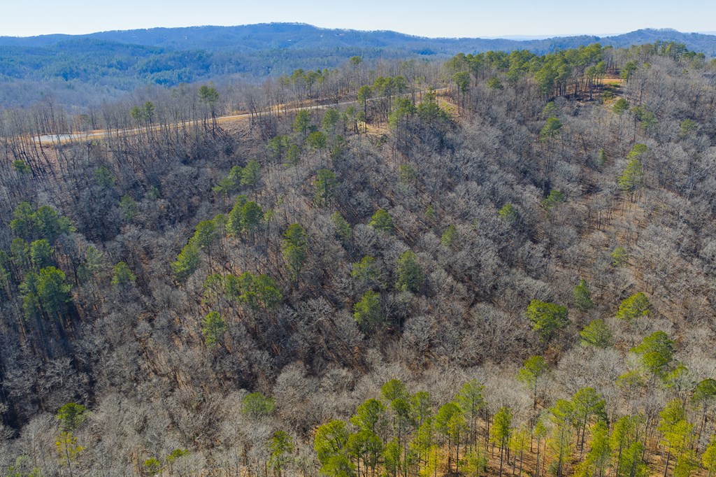 Lot 285 Anglers Ridge Road