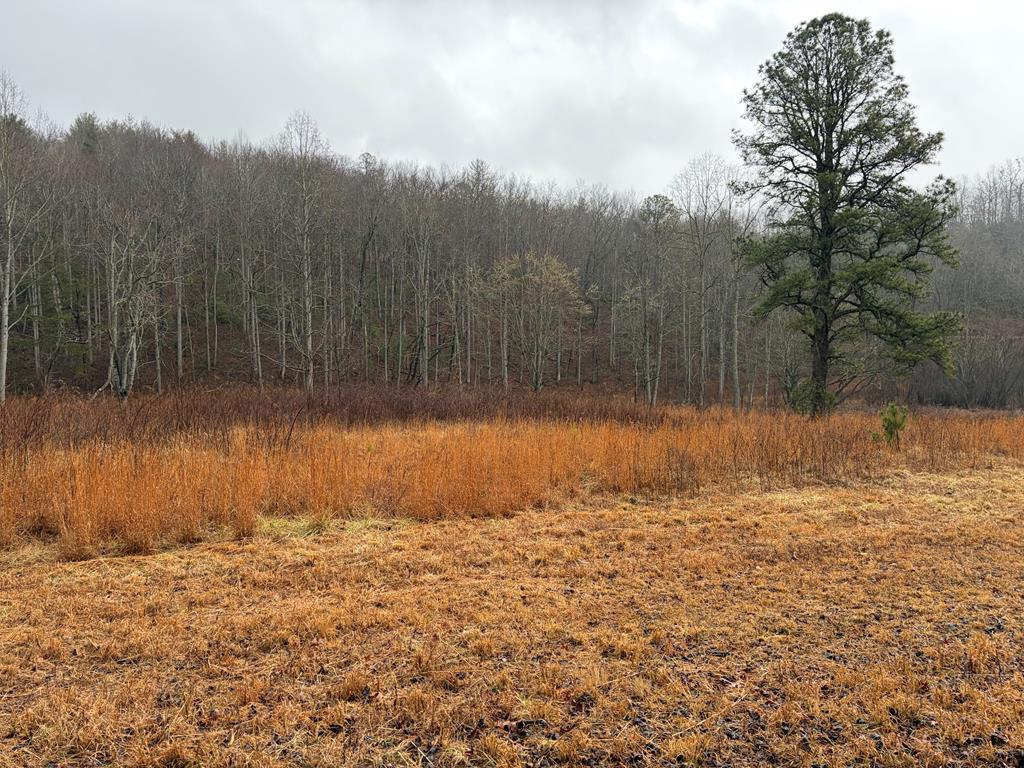 LOT 42 Whisper Woods Road
