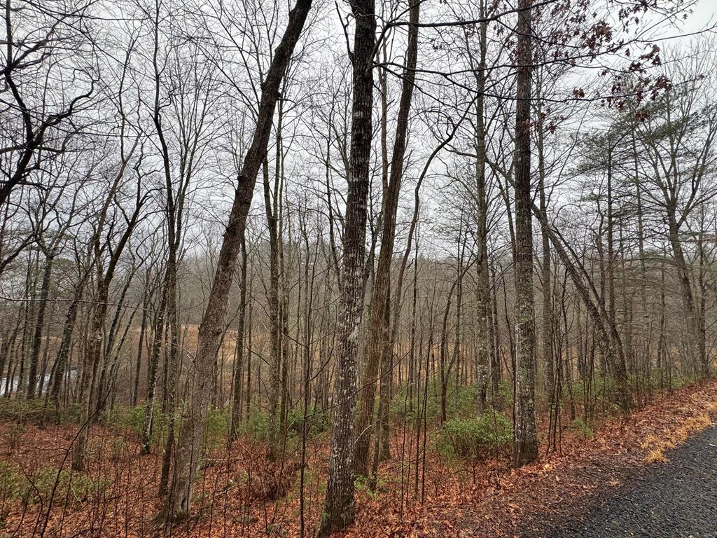 LOT 42 Whisper Woods Road