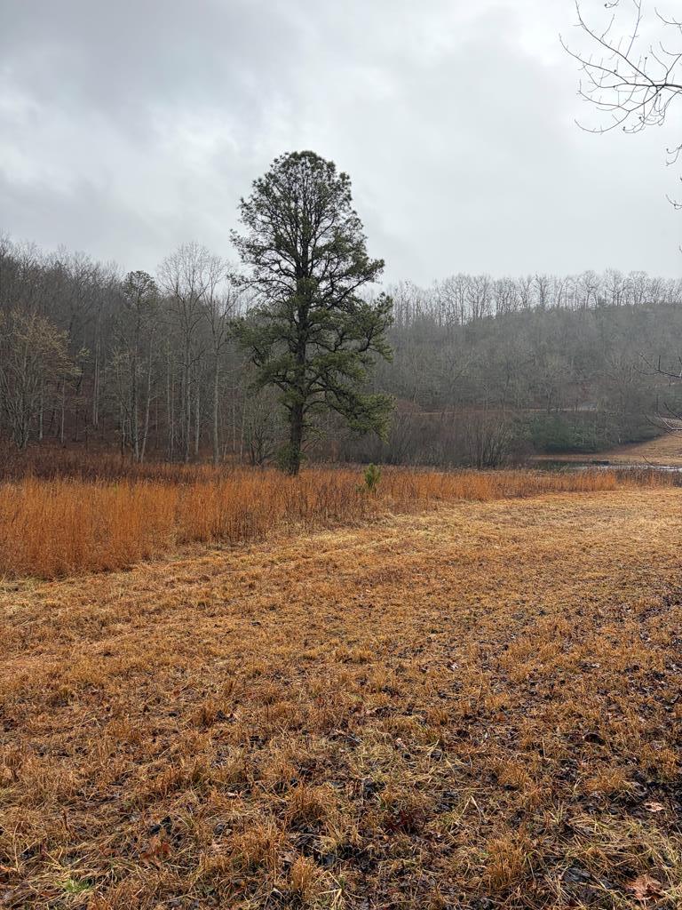 LOT 42 Whisper Woods Road