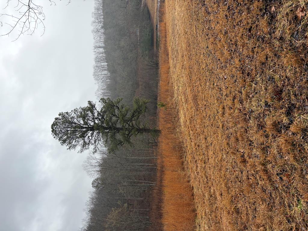 LOT 42 Whisper Woods Road