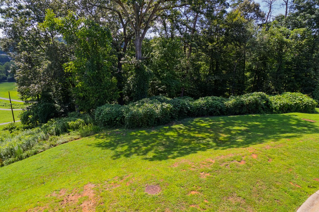 Lots 6-8 N Parkview Drive