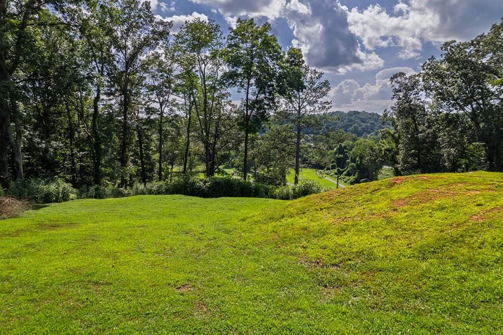 Lots 6-8 N Parkview Drive