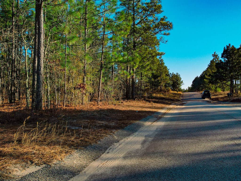 4667 Deans Bridge Road