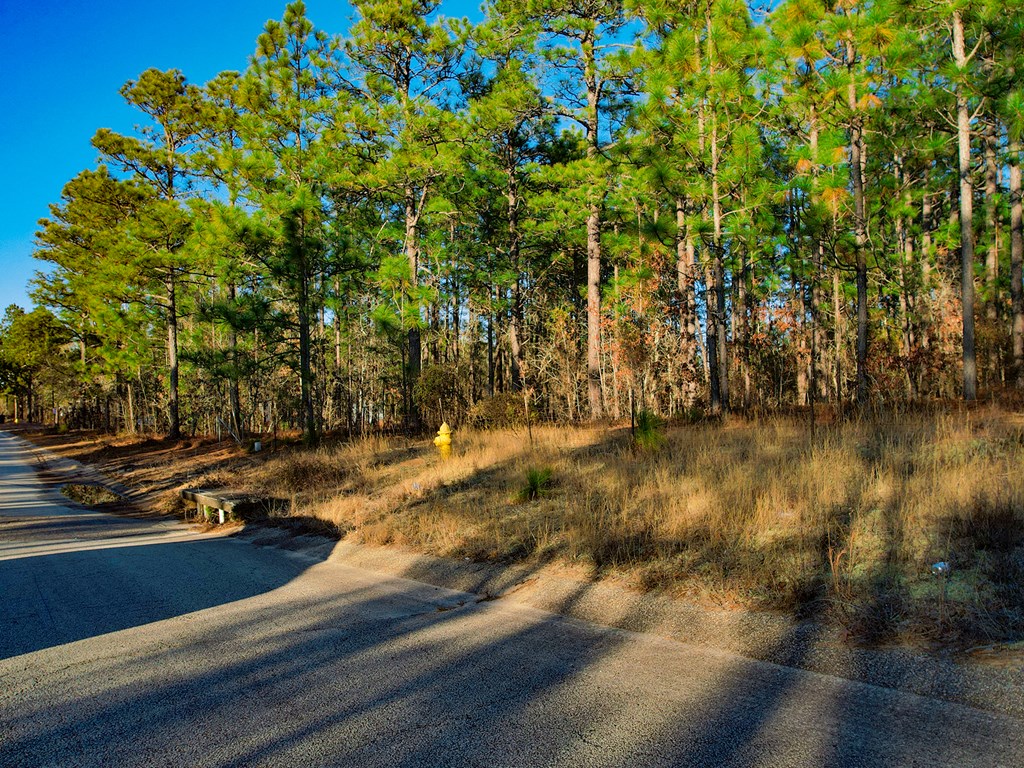 4667 Deans Bridge Road